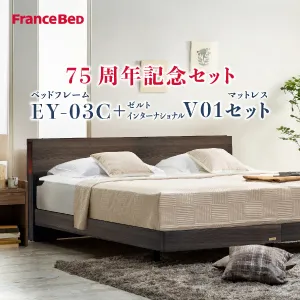 フランスベッド ベッドセット EY-03C レッグ ゼルトインターナショナル-V01