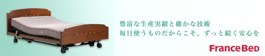フランスベッドの電動リクライニングベッド