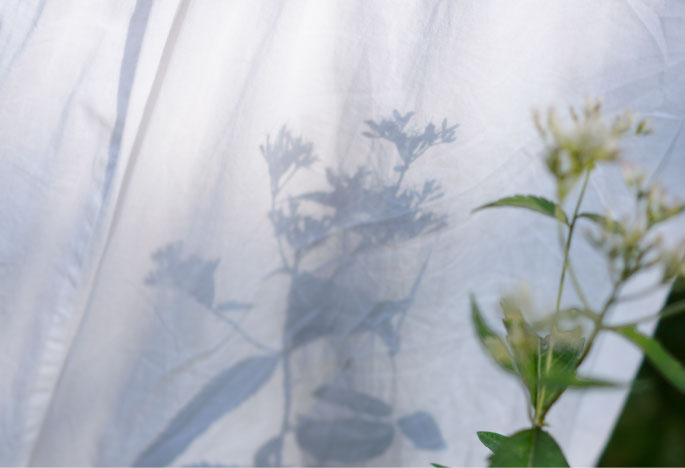 ”代替テキスト”