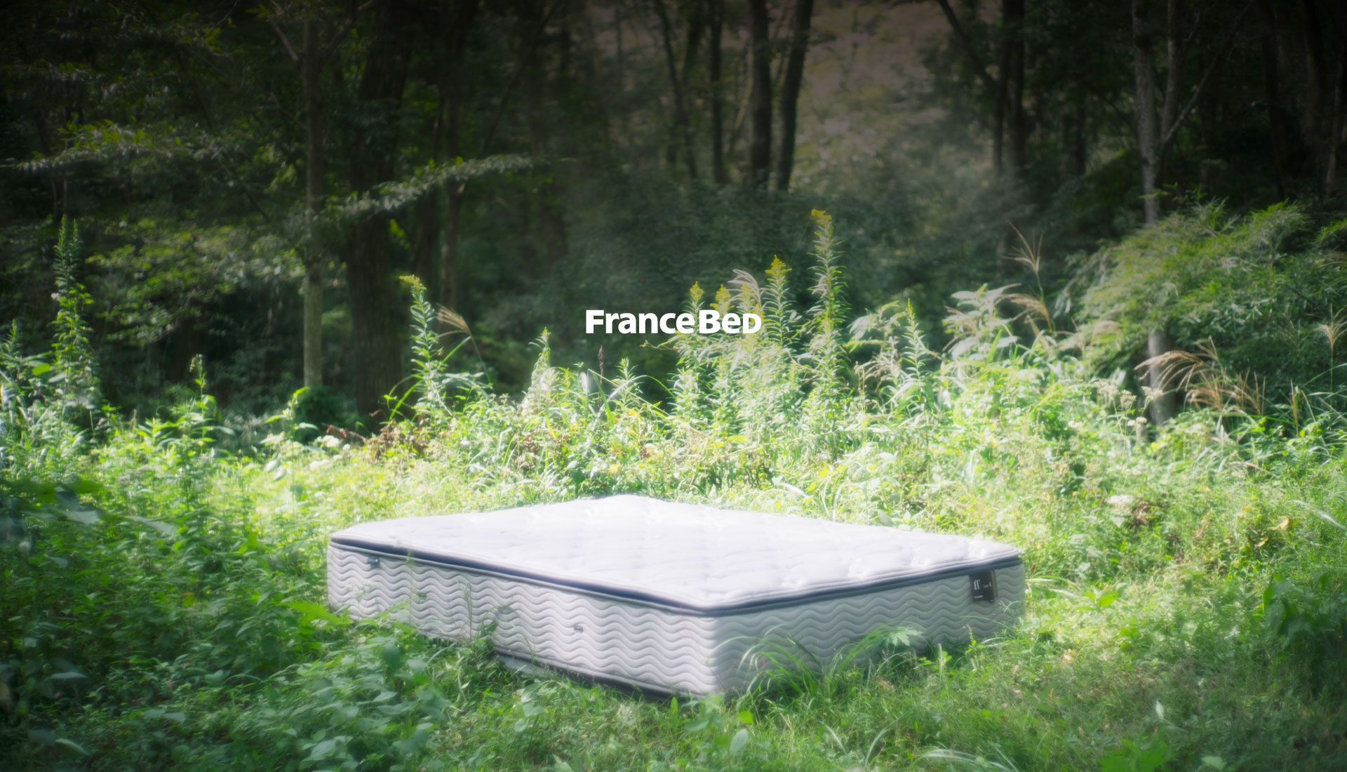 ”代替テキスト”