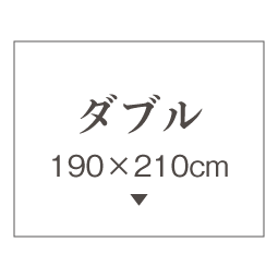 ダブル