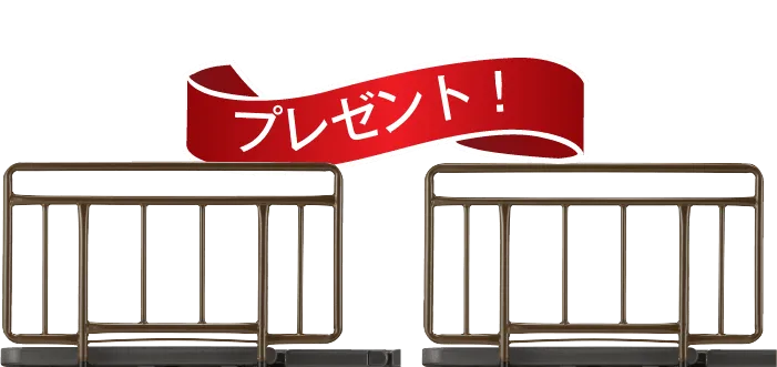 フランスベッド 電動ベッド用 サイドレール SR-300JJ