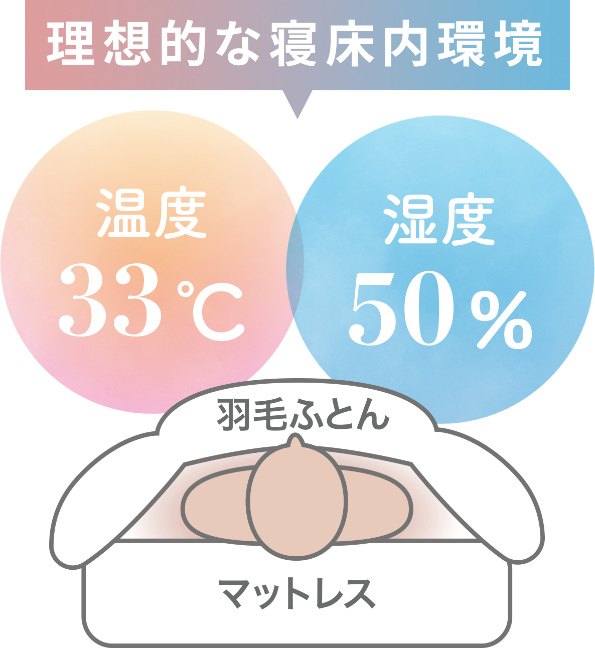 黄金比
