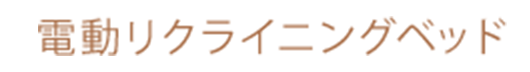 電動リクライニングベッド