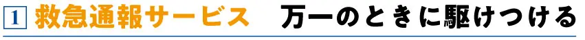 救急通報サービス