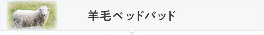 羊毛(ウール)素材のおすすめベッドパッド