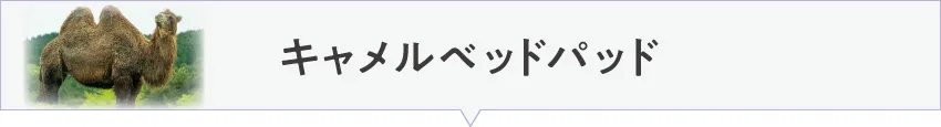 キャメル素材のおすすめベッドパッド