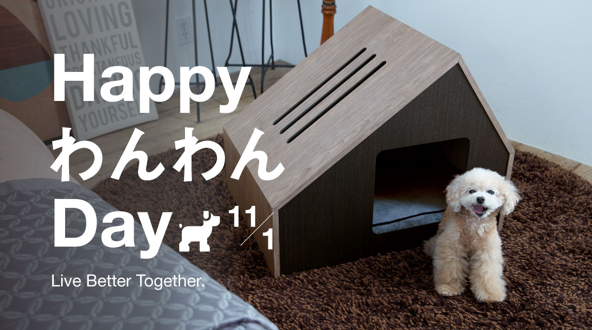 11/1はわんわんデーいつもそばで暮らすフランスペット