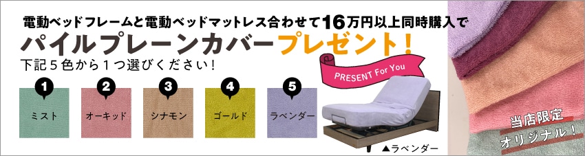 電動ベッドフレームと電動ベッドマットレスを16万円以上同時購入でマットレスカバープレゼント!