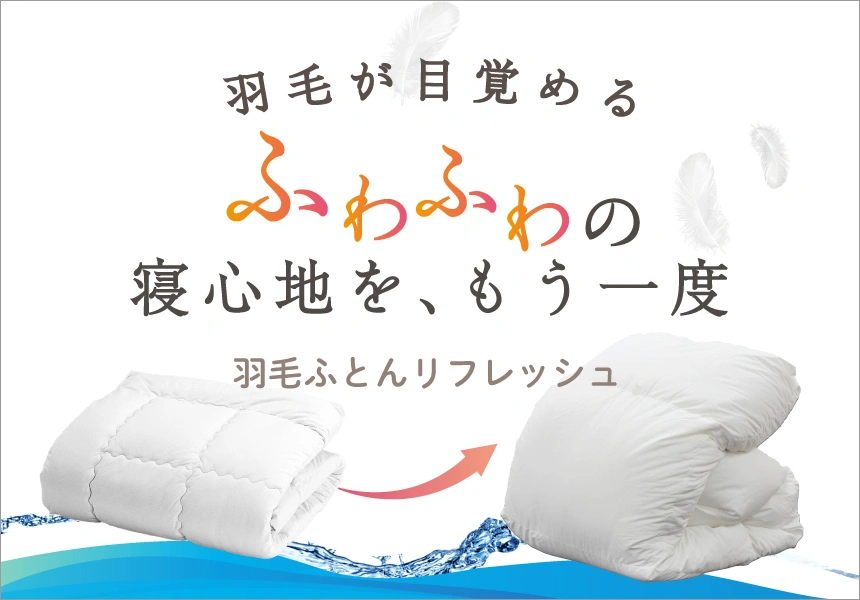 羽毛リフレッシュ