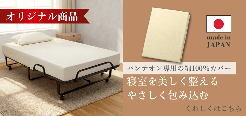 パンテオン専用カバーへのリンク