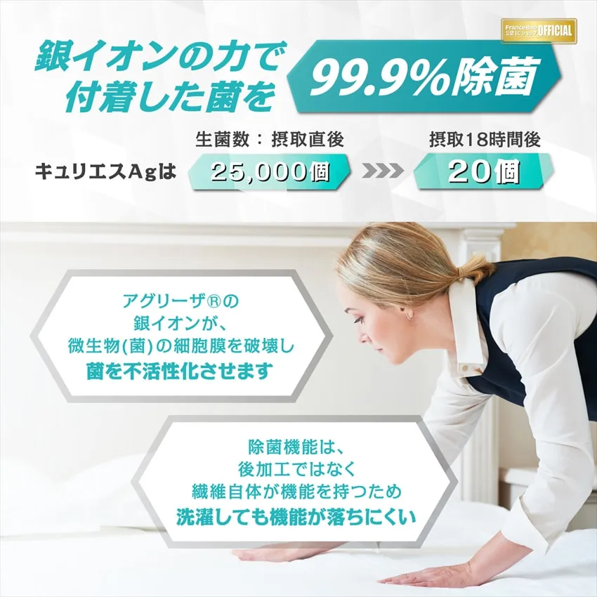 キュリエス・エージー ピロー｜【公式通販】フランスベッド販売