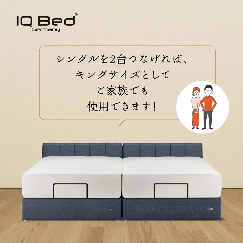フランスベッド 電動ベッドセット IQベッド IQリンカーンRX(シングル 