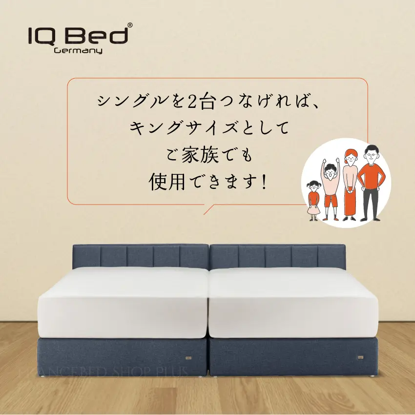 フランスベッド ベッドフレーム IQ リンカーン 【公式通販】