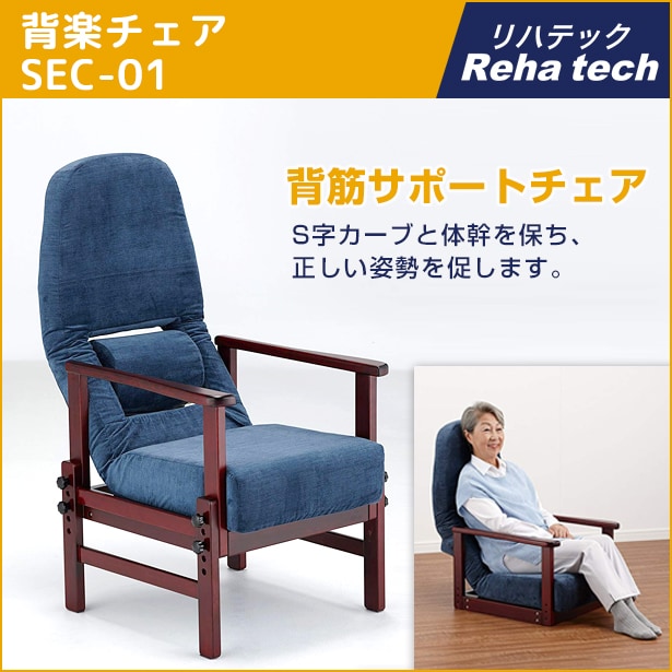 フランスベッド リハテック 背楽チェア Sec 01 リハテック フランスベッド販売 公式通販サイト フランスベッドショッププラス