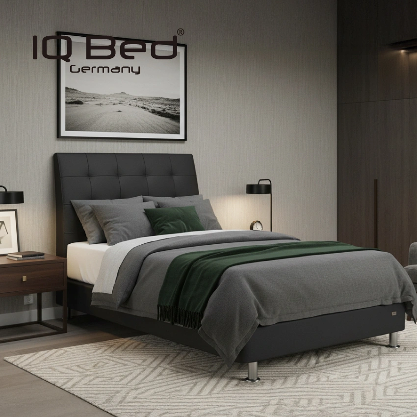 フランスベッド ベッドフレーム IQ アシュフォード