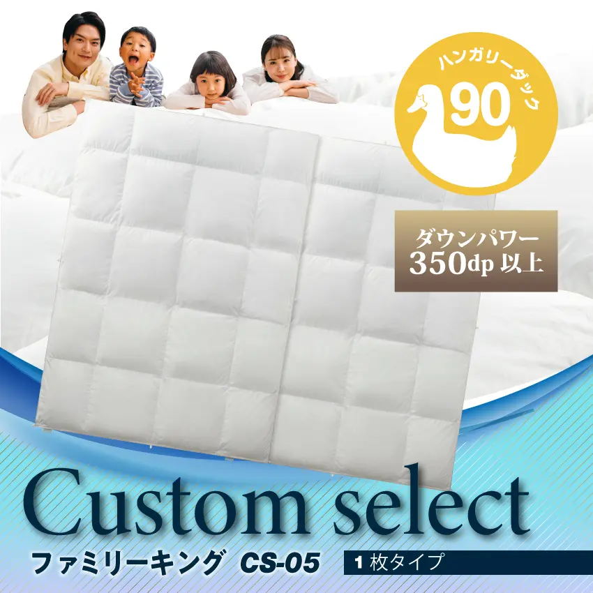 フランスベッド 羽毛ふとん CS-05 1枚タイプ ハンガリー産ダックダウン