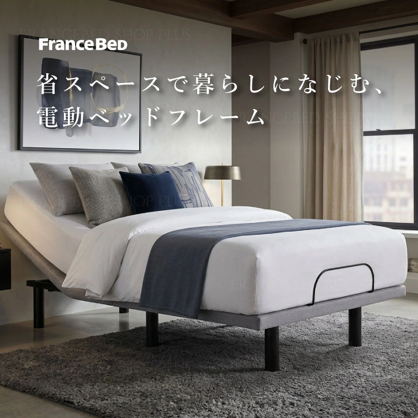フランスベッド 電動ベッドフレーム エゼル01 背上げ+脚上げ ワイヤレス レッグ シングル