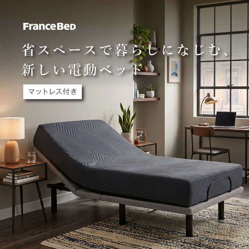 フランスベッド 電動ベッドセット エゼル01 RX-NV-NQ 背上げ+脚上げ ワイヤレス レッグ シングル