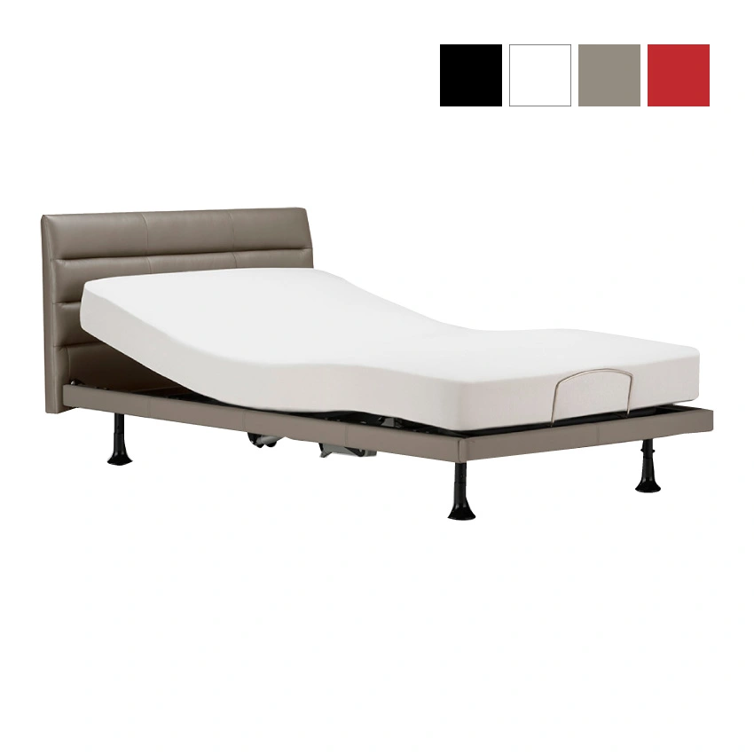 フランスベッド 電動ベッドフレーム グランサス GS-11F 背上げ+脚上げ レッグB