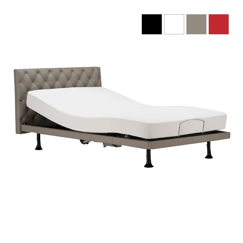 【非課税】 フランスベッド 電動ベッドフレーム グランサス GS-12F 背上げ+脚上げ レッグB