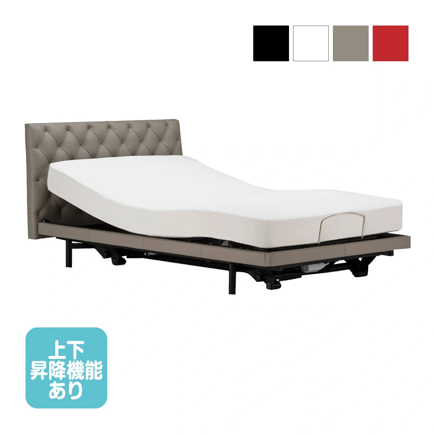 フランスベッド 電動ベッドフレーム グランサス GS-12F 背上げ+脚上げ+上下昇降 レッグA