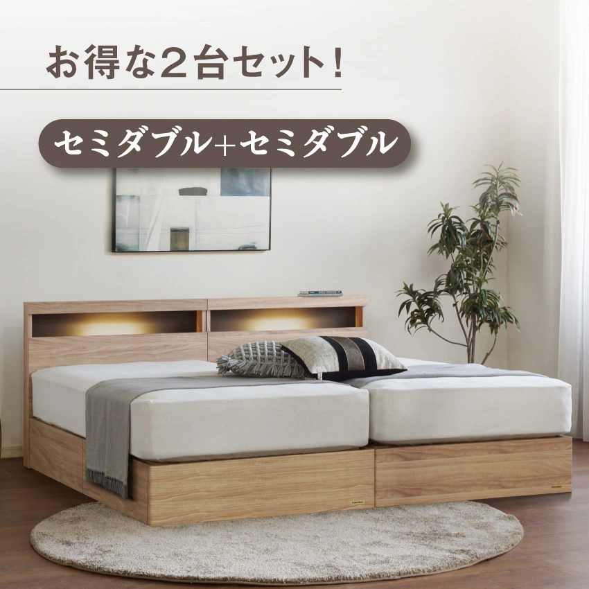 フランスベッド ツインベッドセット エコモア02C 引き出し / TW-210