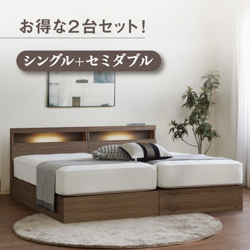 フランスベッド ツインベッドセット エコモア02C 引き出し / N-スタンダード02