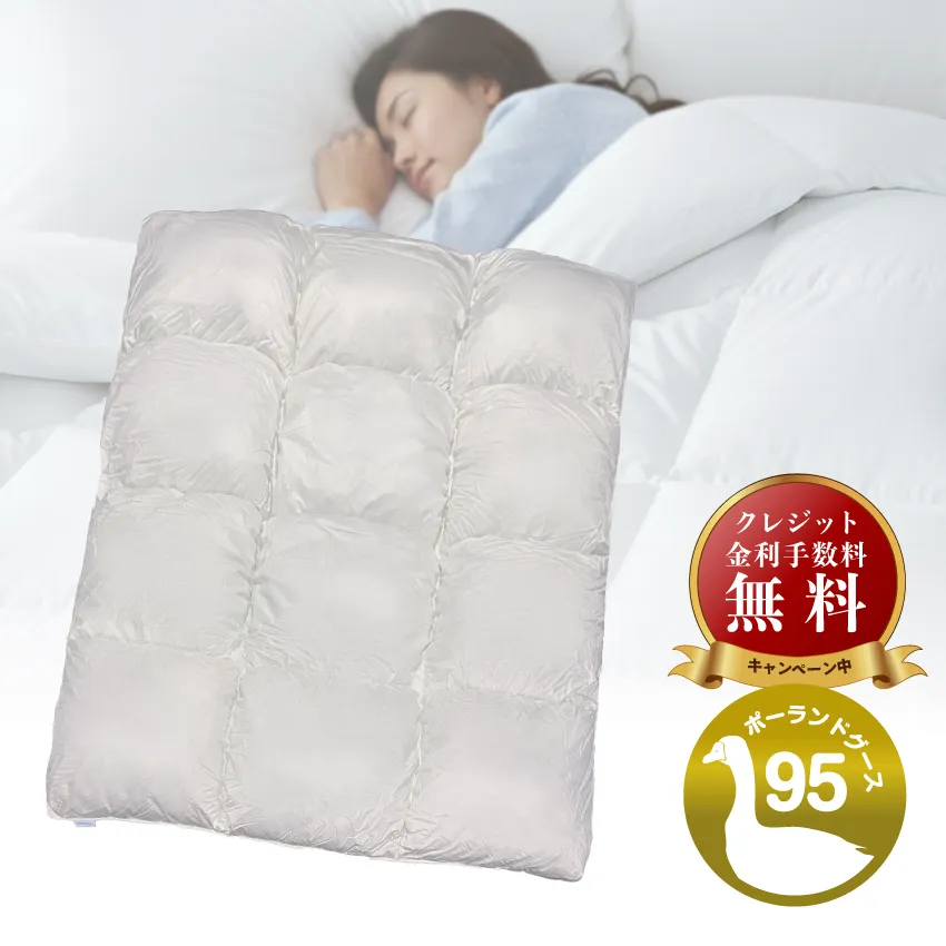 フランスベッド 羽毛ふとん ヴェルモラ01