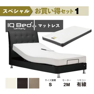 フランスベッド スペシャルお買い得電動ベッドセット1 IQベッド IQアシュフォードRX マイクロRX-DLX