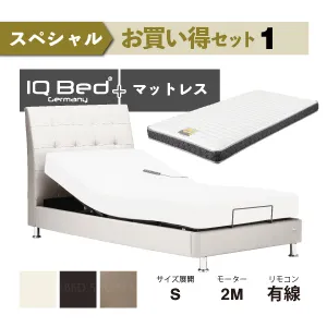 フランスベッド スペシャルお買い得電動ベッドセット1 IQベッド IQアシュフォードRX マイクロRX-DLX