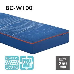 フランスベッド マットレス BC-W100 ハード