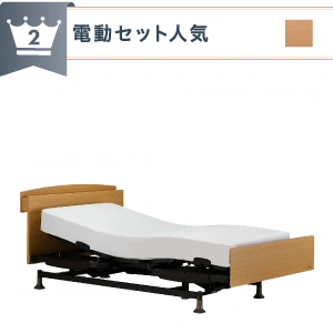 【電動ベッド人気No.2】 【非課税】 フランスベッド 電動セット レステックス102C 2モーター RX-STD-EX