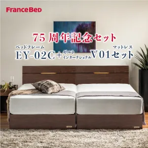 フランスベッド ベッドセット EY-02C レッグ ゼルトインターナショナル-V01