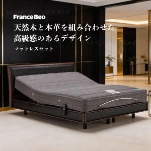 フランスベッド 電動ベッドセット ボステッソ BO-06 RX-THF 有線 ダブル