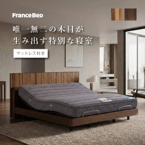 フランスベッド 電動ベッドセット ボステッソ BO-10 RX-THF やや硬め 2モーター 無線 レッグ