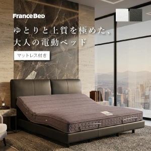 フランスベッド 電動ベッドセット ボステッソ BO-11 RX-THF やや硬め 2モーター 無線 レッグ