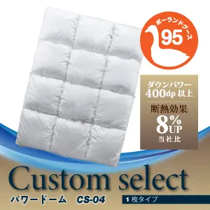 フランスベッド 羽毛ふとん CS-04 1枚タイプ
