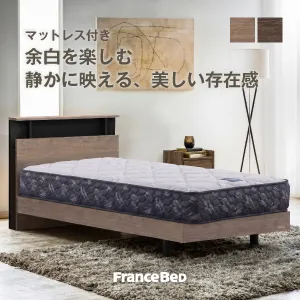 フランスベッド ベッドセット エルダ01C レッグ ZI-200