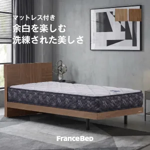 フランスベッド ベッドセット エルダ04C レッグ ZI-200