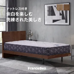 フランスベッド ベッドセット エルダ04C レッグ ZI-200
