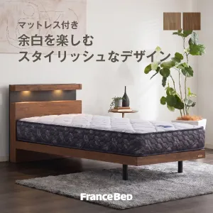 フランスベッド ベッドセット エルダ05C レッグ ZI-200
