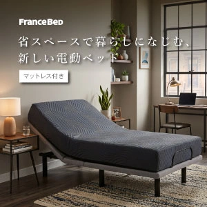 フランスベッド 電動ベッドセット エゼル01 RX-NV-NQ 背上げ+脚上げ ワイヤレス レッグ シングル