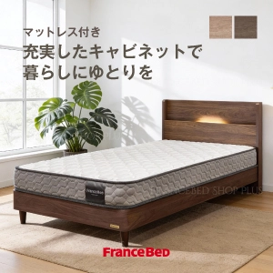 フランスベッド ベッドセット SPT-01C ZI-100