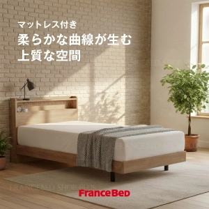 フランスベッド ベッドセット SPT-02C ZI-100 シングル