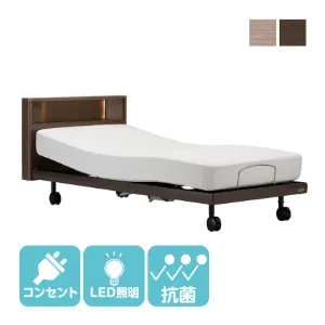 フランスベッド 電動ベッドフレーム グランサス GS-03C 背上げ+脚上げ キャスター
