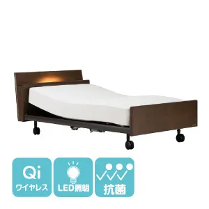 フランスベッド 電動ベッドフレーム グランサス GS-09C 背上げ+脚上げ キャスター