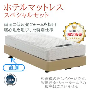 フランスベッド　ホテルベッド　スペシャルセット　レッグ