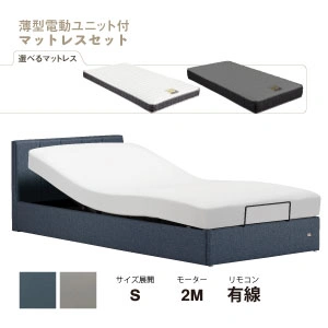 フランスベッド　電動ベッドセット　IQベッド　IQリンカーンRX