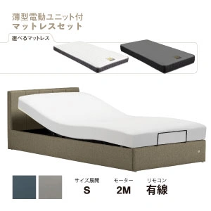 フランスベッド 電動ベッドセット IQベッド IQリンカーンRX マイクロRX-DLX